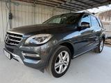 Mercedes-Benz ML 350 CDI BlueTec 4Matic/Pano/AHK/Xenon/Alcant. - Mercedes-Benz ML 350 in Mainz