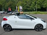 Renault Wind Dynamique CABRIO EURO5 TOP-ZUSTAND - Renault Wind: Cabrio