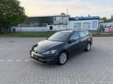 Volkswagen Golf VII 1,4 TGI Comfortl. PDC 8x Bereift 28t km - Volkswagen Golf mit CNG-Antrieb: Kombi