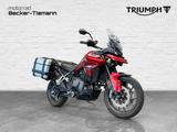 Triumph Tiger 900 GT Pro incl. Koffersatz - TRIUMPH TIGER