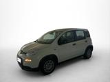 Fiat Panda Hybrid 1.0 GSE 51kw (70PS) - Fiat Panda Tageszulassungen