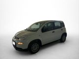 Fiat Panda Hybrid 1.0 GSE 51kw (70PS) - Fiat Panda Tageszulassungen