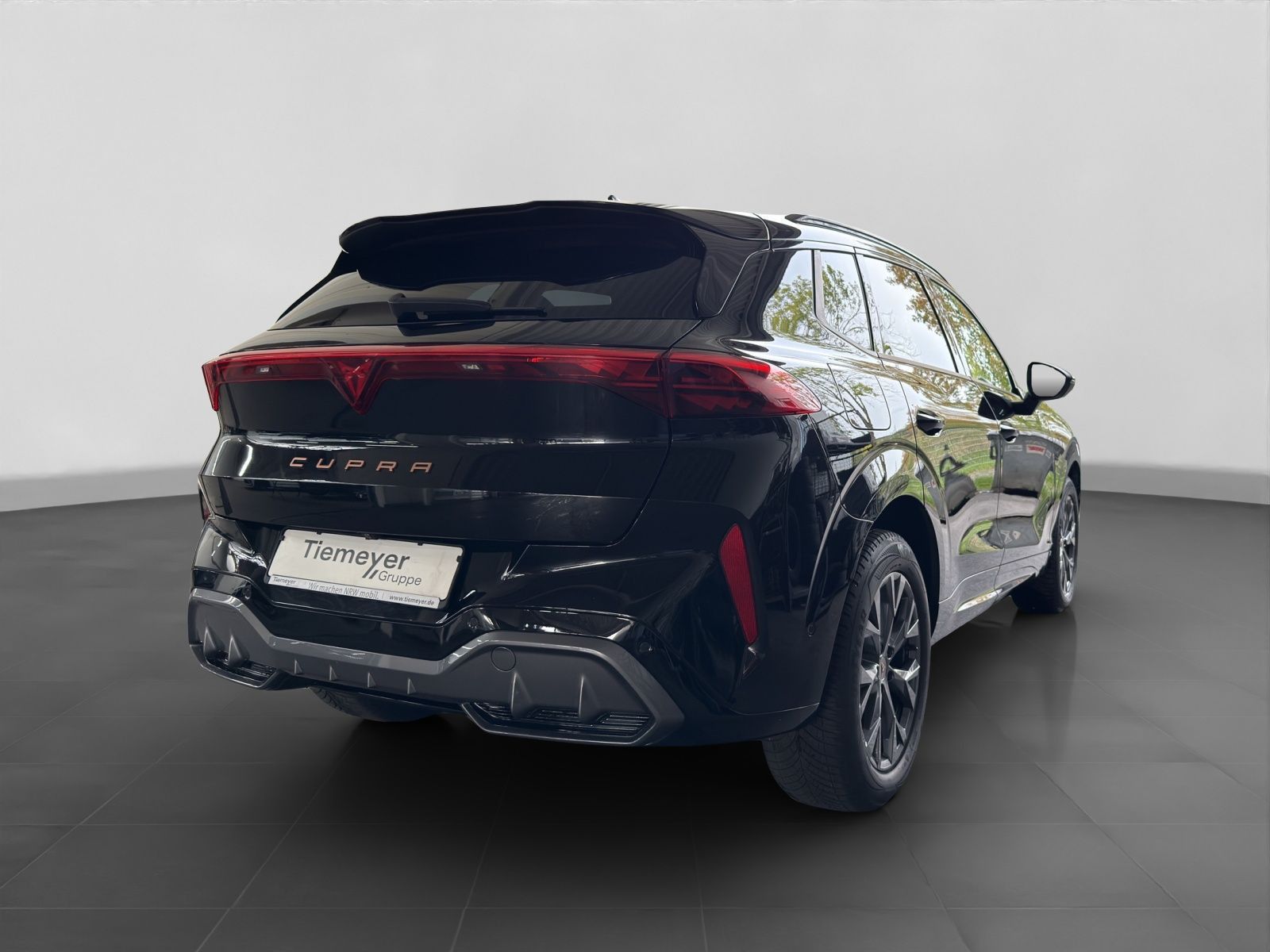 Cupra Terramar - Bild 3