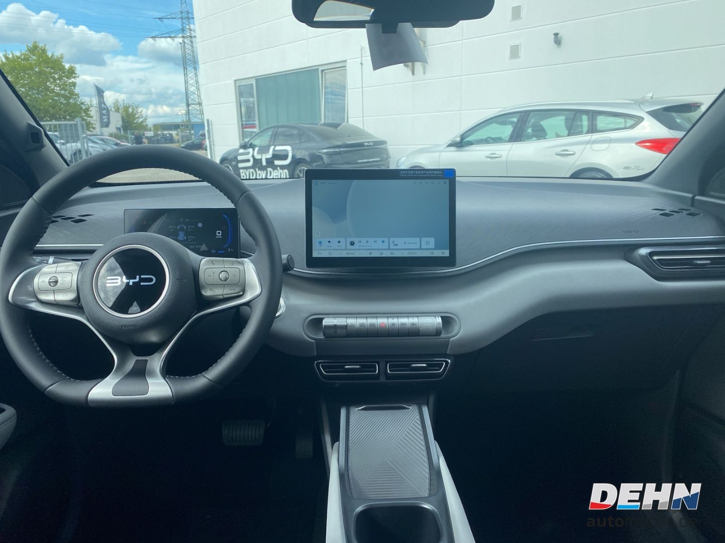 BYD DOLPHIN SURF