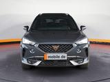 Cupra Formentor 1.5 TSI DSG Navi Pano ACC - Cupra