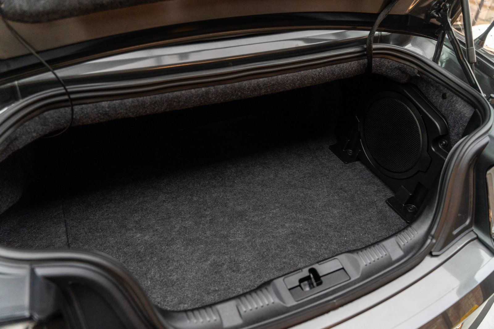 FORD Mustang (Mustang GT 5.0 Convertible COC/Navi/B&O/Sitzhzg)