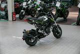Benelli TNT 125 Tornado Naked, sofort lieferbar - BENELLI TNT 125