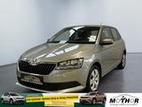 Skoda Fabia Cool Plus 1.0 MPI Klimaanlage Touchscreen - Skoda Fabia: Beige
