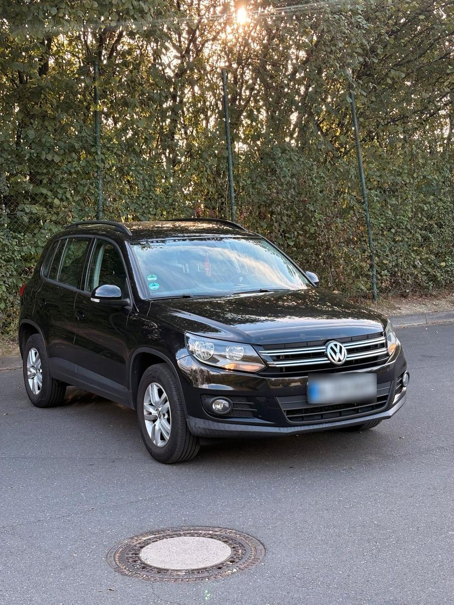 Volkswagen Tiguan 2011 — rear view