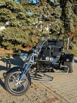 Boom Family - TRIKE FAMILY