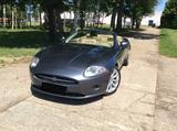 Jaguar XK 4.2L V8 Cabriolet - - graue Jaguar XK