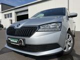 Skoda Fabia 1.0 Active Cool Plus 75€ m.20% Anz. SHZ PD - Skoda Fabia: 2.0