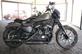 Harley-Davidson IRON 883 Umbau TOP-Zustand - Angebote entsprechen deinen Suchkriterien