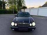 Mercedes-Benz Mercedes E430 Designo Avantgarde W210 V8 M... - Mercedes-Benz E 430 aus 1998