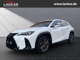 Lexus UX 300h F-SPORT DESIGN*TOTW*FACELIFT*GARANTIE* - Lexus UX in Essen