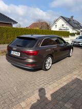 Audi A4 3.0 TDI quattro S line, Matrix, HUD, PANO uvm - Audi A4: Braun, Leder