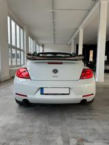 Volkswagen Beetle Turbo - : Roadster, Turbo