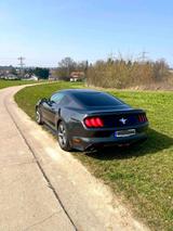 Ford Mustang 3,7L Coupé  - gebrauchte Ford Mustang aus dem Jahr 2015