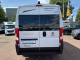 Karmann Dexter 600 FIAT DUCATO FACELIFT LÄNGSBETT VOLL - Karmann 600