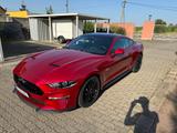Ford Mustang 5.0 Ti-VCT V8 GT Auto GT - Ford Mustang Gebrauchtwagen in Dresden