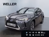 Lexus UX 250h Style Edition *Bi-LED*ACC*CAM*SHZ*CarPla