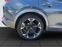 Cupra 