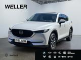Mazda CX-5 SKYACTIV-G 194 AWD Sports-Line *Leder*GSD* - Mazda CX-5 Gebrauchtwagen