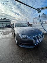 Audi A4 g-tron 2.0 TFSI S tronic sport Avant sport - Audi A4 mit CNG-Antrieb