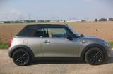 MINI Cooper Cabrio Chili- und Lichtpaket - MINI Cooper Cabrio von privat