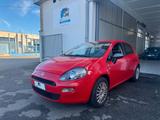 Fiat FIAT Punto 1.2 8V 5 porte Young ** NEOPATENTATI  - Fiat Punto YOUNG mit Benzin-Antrieb