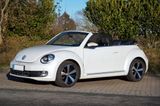 Volkswagen Beetle 1.4 TSI DSG Design Cabriolet Design - : Cabrio, De