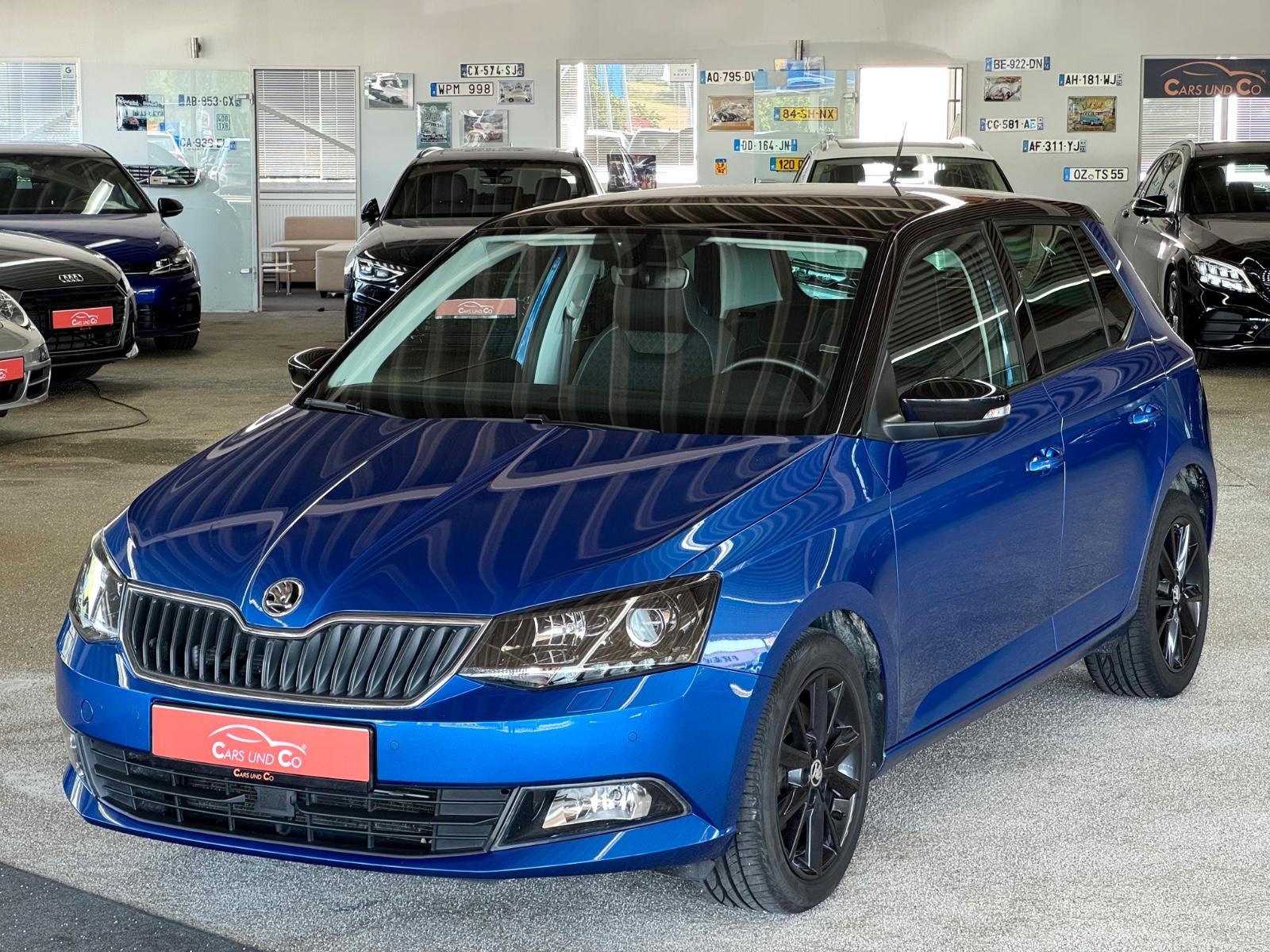 Skoda Fabia 1.2 TSI Style DSG 1Hand *SHZ*APP*PDC*TEM*