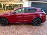 Alfa Romeo Stelvio 2.9 Bi-T. V6 375kW Quadrifoglio AT8-... - Alfa Romeo: Quadrifoglio
