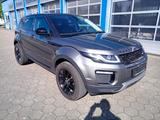 Land Rover Range Rover Evoque SE - Land Rover Range Rover Evoque SE mit Benzin-Antrieb