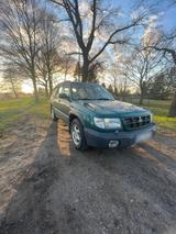 Subaru Forester 2.0GX AWD  TÜV, AHK, 169.... - Subaru Forester: Gx