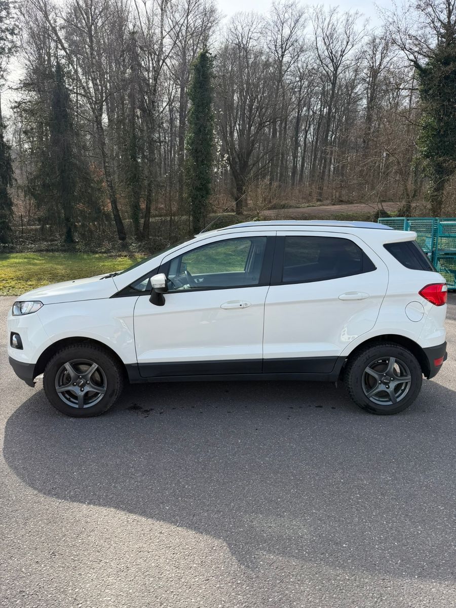 Fahrzeugabbildung Ford EcoSport Titanium 8fach Bereift ALUFelgen