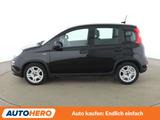 Fiat Panda 1.0 Mild-Hybrid*KLIMA*DAB*GARANTIE*  - Fiat Panda Gebrauchtwagen in Stuttgart