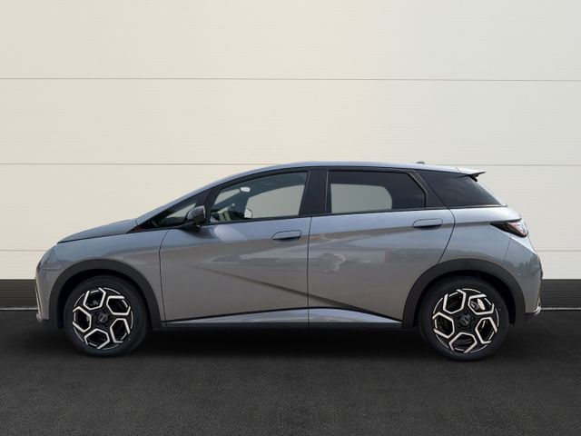 BYD Dolphin Design