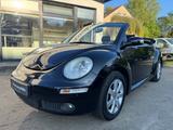 Volkswagen New Beetle Cabriolet 1.6 United *1.Hand*Autom.* - Volkswagen New Beetle aus 2009
