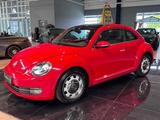 Volkswagen Beetle Lim. Design LED/BiXenon Pano Tempo PDC - gebrauchte VW Beetle aus dem Jahr 2012