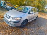 Volkswagen Golf Plus 1.6 Benzin  Tausch nur gegen T4... - Volkswagen Golf Plus in Mainz