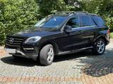 Mercedes-Benz ML 250 BlueTEC 4MATIC - - Mercedes-Benz ML 250 in München