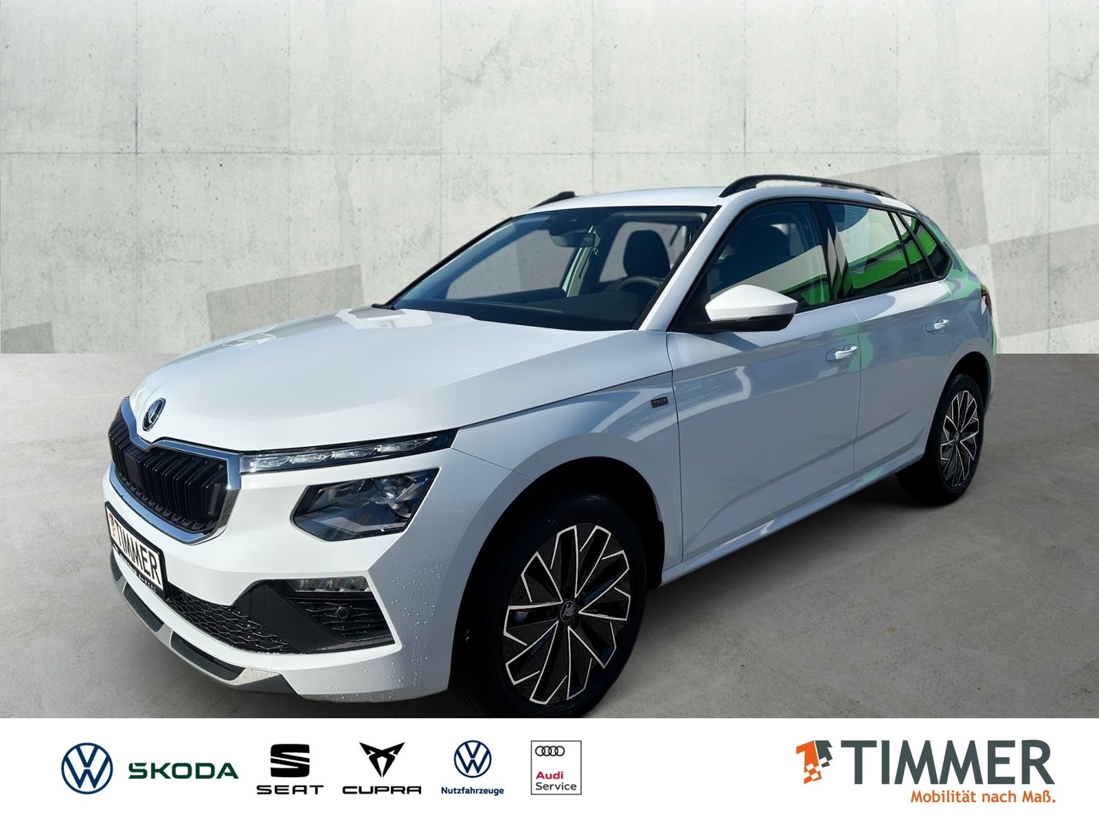 Skoda Kamiq 1,0 TSI Tour Assistenz*Infotainment*