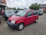 Fiat New Panda 1.1 Klima 1.Hand Tüv04/26 Zv. El.Fh - Fiat New Panda Gebrauchtwagen