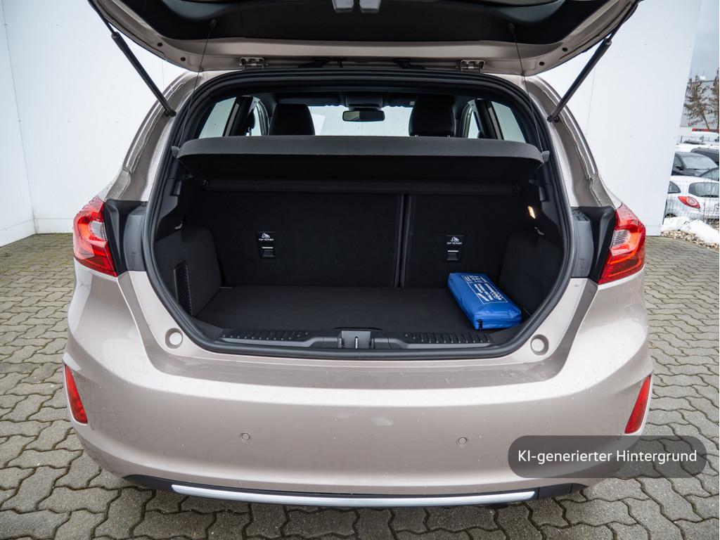 Ford FIESTA VIGNALE 5D 1.0L 100PS