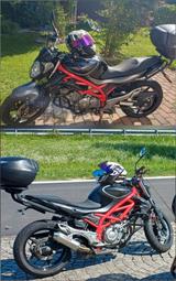 Suzuki Gladius SFV 650 - SUZUKI GLADIUS