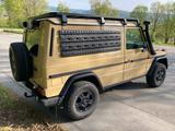 Mercedes-Benz G 300 CDI Professional - Rarität, sehr selten - Mercedes-Benz G 300: Cdi Professional