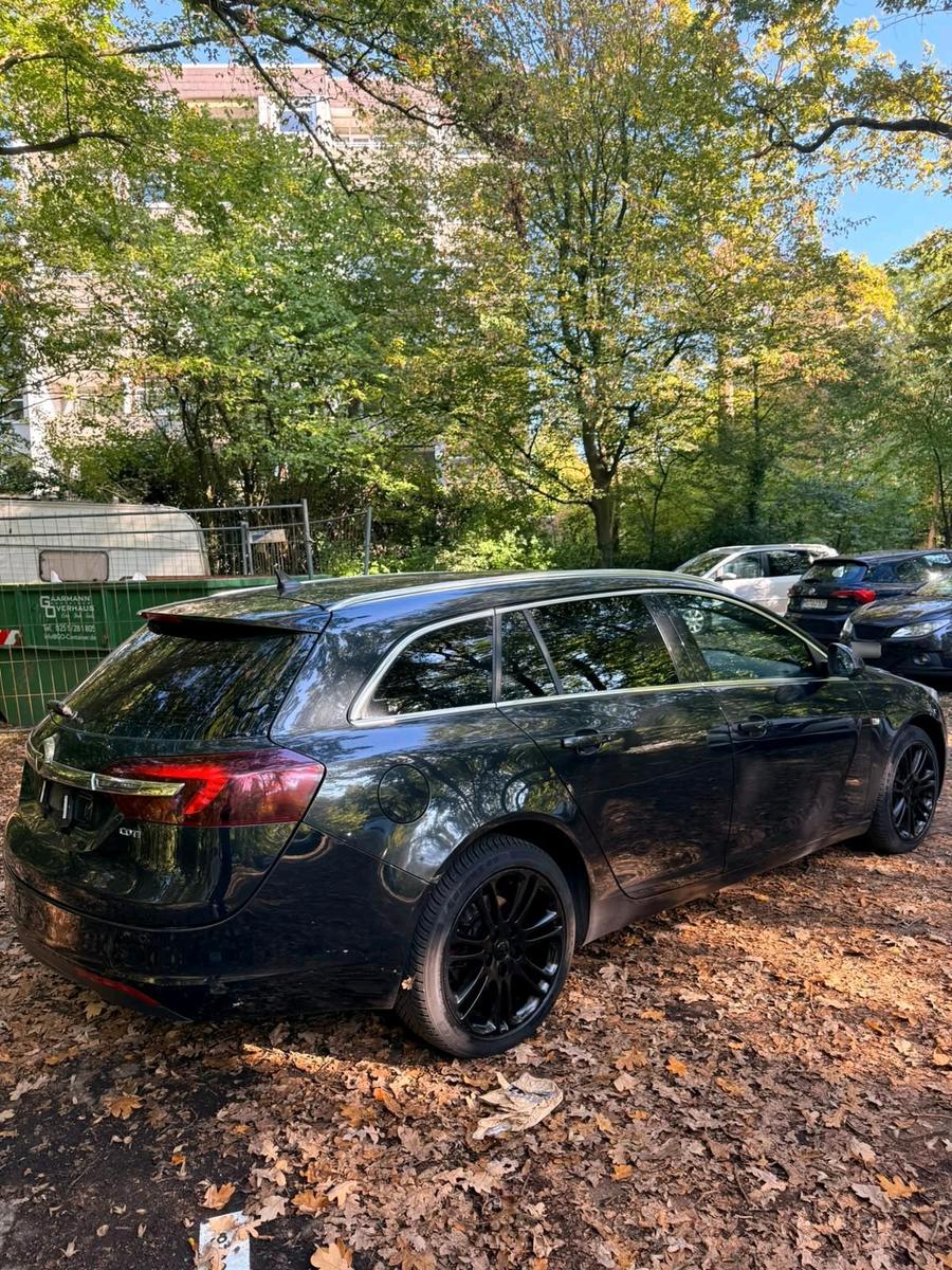 Opel Insignia 2013 — photo 11