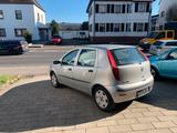 Fiat Punto 1.2 8V Dynamic - Fiat Punto mit Benzin-Antrieb: Dynamic