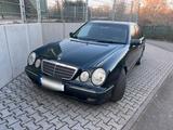 Mercedes-Benz E klasse 240 w210 - gebrauchte Mercedes-Benz E 240 aus dem Jahr 2001
